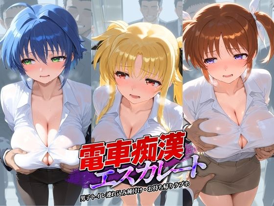 電車痴●エスカレート 魔〇少女リリカルなのは(牝堕ち工房) [d_800921]