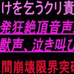 助けを乞うクリ責め発狂絶頂音声！！獣声、泣き叫び、人間崩壊限界突破！！(絶頂ひとりオナ子) [d_801081]