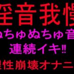 淫音我慢 ぬちゅぬちゅ音連続イキ！！理性崩壊オナニー(絶頂ひとりオナ子) [d_801099]