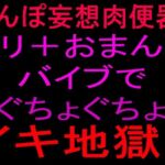 ちんぽ妄想肉便器！！クリ＋おまんこバイブでぐちょぐちょイキ地獄！！(絶頂ひとりオナ子) [d_802263]