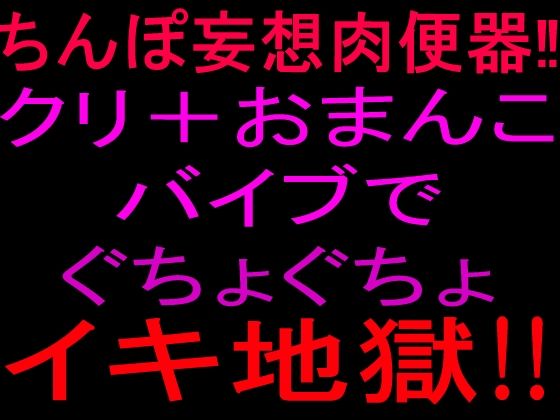 ちんぽ妄想肉便器！！クリ＋おまんこバイブでぐちょぐちょイキ地獄！！(絶頂ひとりオナ子) [d_802263]