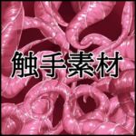 触手素材(水の木) [d_802329]