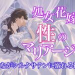 【ドレス美少女57】処女花嫁と性のマリアージュ  〜た○ながシルクサテンに溺れる初夜〜(Dresscco) [d_802426]