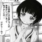 むかしエロ漫画雑誌に持ち込みしたら「他所に行ってくれ」って怒られた漫画(宵星ヒカリ) [d_802800]