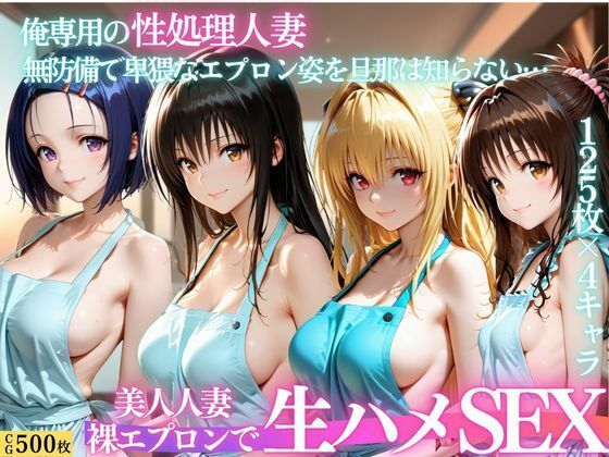 裸エプロン人妻は俺の性処理道具 〜旦那の知らないところで生ハメ中出し〜(パキラくん) [d_803417]