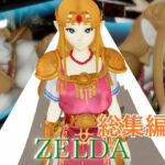 ゼルダ姫のアクロバティック体位総集編【リクエスト作品】(パラレル) [d_803452]