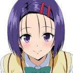 【中出し】西連寺春菜セックス集(二次元堂) [d_803559]