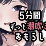 5分間潮出しっぱなしオナニー(おもちやさん) [d_803690]