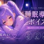 毎日がんばってるよね【睡眠導入ASMR】眠れない夜に。恋人と添い寝する睡眠導入ボイス｜囁き・安眠【涼風めい】(ノゾキミ) [d_803923]
