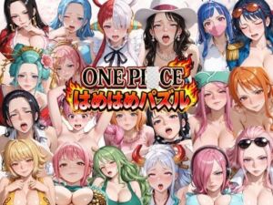 ONE PI〇CE  はめはめパズル(ずぶじゃぶファクトリー) [d_804023]
