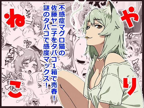 ヤリねこ  〜不感症のマグロ獣人・佐藤ヤニ子と1発1箱〜(ハマチトモサク) [d_805289]