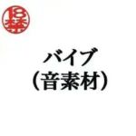 バイブ（音素材）(ペイズリーシステム) [d_805290]