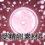 受精卵素材4(水の木) [d_806219]