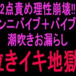 2点責め理性崩壊！！！クンニバイブ＋バイブで潮吹きお漏らし泣きイキ地獄！！(絶頂ひとりオナ子) [d_807049]