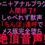 クンニ＋アナルプラグで人間終了！！しゃべれず獣声「ちんぽ」連呼でメス豚完全堕ち絶頂音声！！(絶頂ひとりオナ子) [d_808360]