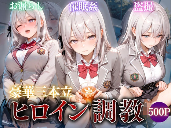 ヒロイン調教〜彼女の運命を変える三つの物語〜Vol.2(たからのほうこ) [d_809447]