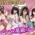 朝から晩までハーレム高級ソープ 【ア○マス】2(ヒロインズ) [d_810369]