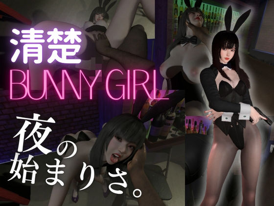 【BunnyGirl】黒髪清楚バニーと夜の始まりさ。夜のバーでバニー服従。(REAL  PARALLELS) [d_811458]