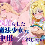 【60FPS】光堕ちした魔法少女は中出しHがしたい(らーでぃみる) [d_812382]