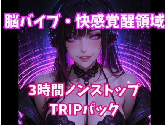 脳バイブ・快感覚醒領域 3時間ノンストップTRIPパック(ヒメゴト) [d_812651]