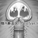 膣内断面図素材（グレーVer.）(水の木) [d_813604]