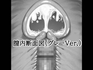 膣内断面図素材（グレーVer.）(水の木) [d_813604]