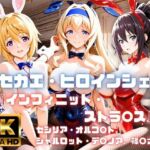 ［4K］  キセカエ・ヒロインシェア  〜インフィニット・ストラ〇ス 篇〜(あかいきつね) [d_814441]