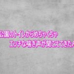 夜の公園のトイレからめちゃくちゃエッチな喘ぎ声が聞こえてきたんだが(ガールズコレクション) [d_818854]